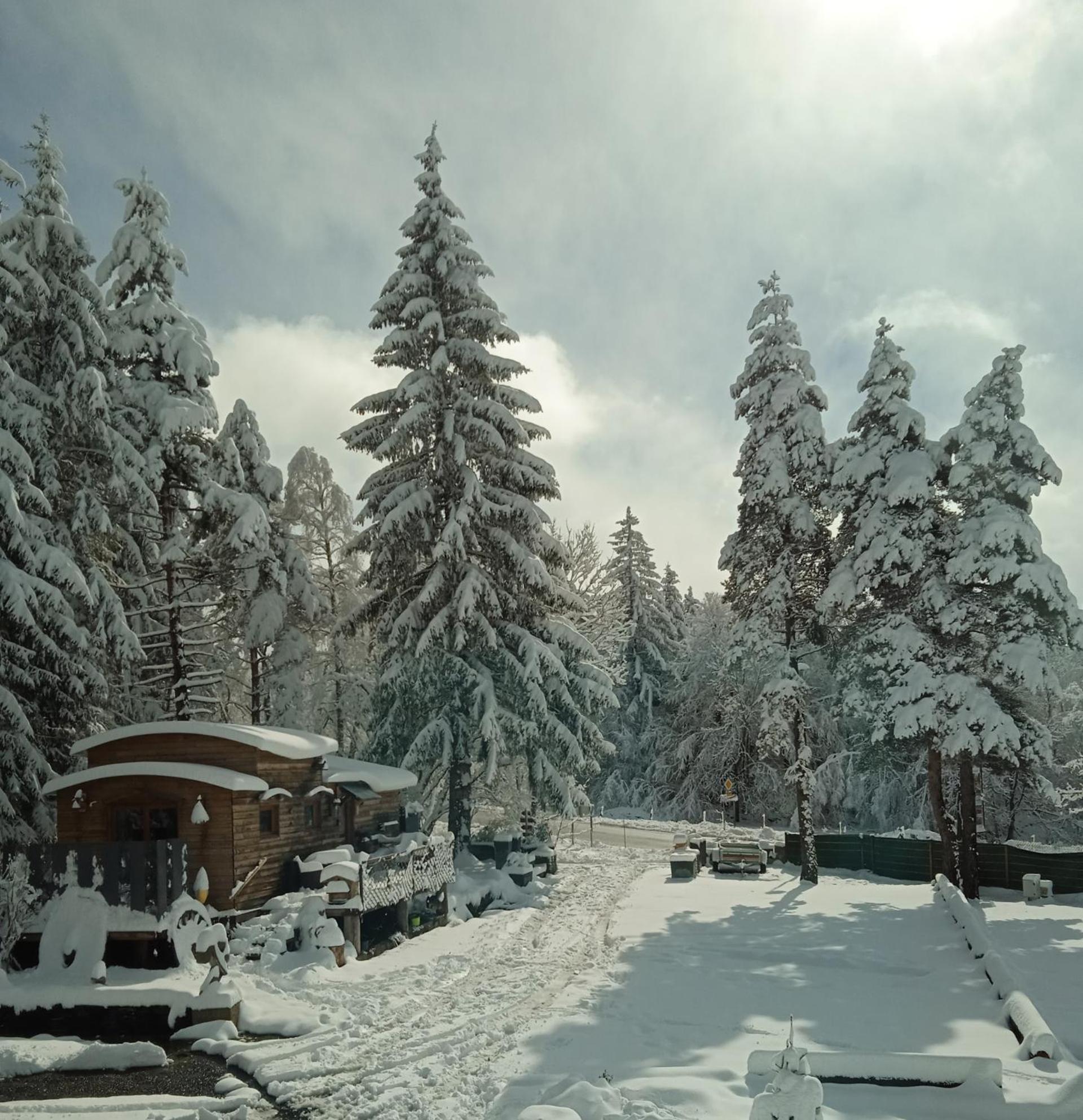 Chalet Grenouille Domaine De La Mamounette Champclause Exterior photo